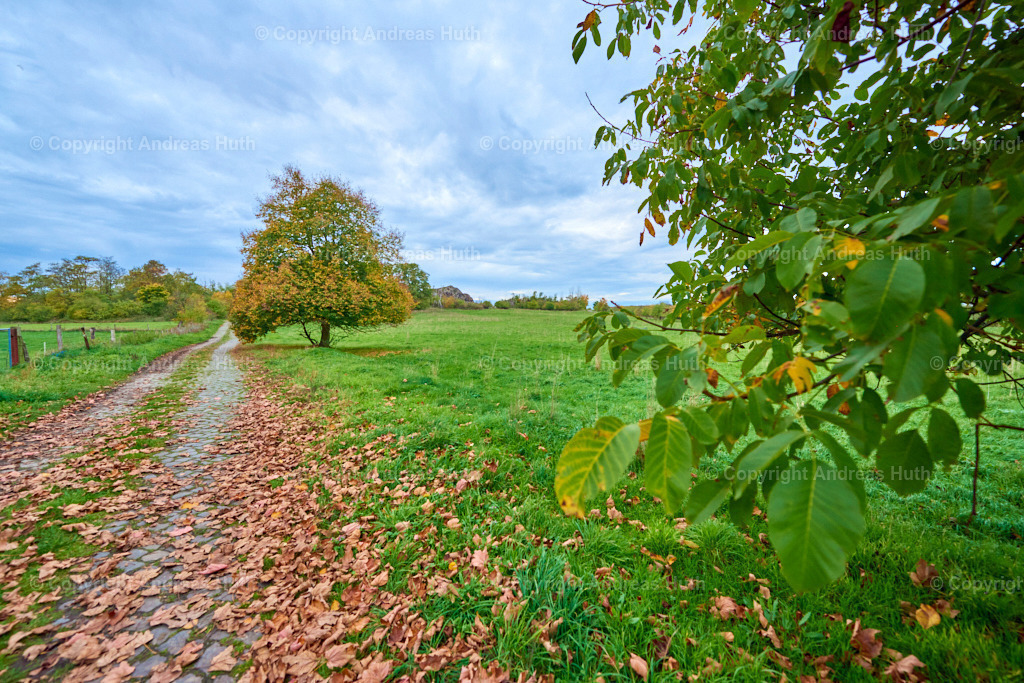 Blick zum Spitzberg | Bedeutsame Landschaften Deutschlands - Realisiert mit Pictrs.com