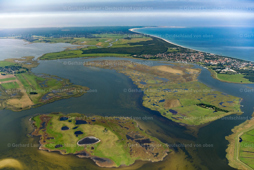 4061766 | Oie, Große Kirr, Nationalpark Vorpommersche Boddenlandschaft, ZINGST 08.09.2021 Salzgrasland- Inseln und Vogelschutz- Gebiet in Zingst an der Ostseeküste im Bundesland Mecklenburg-Vorpommern, Deutschland.