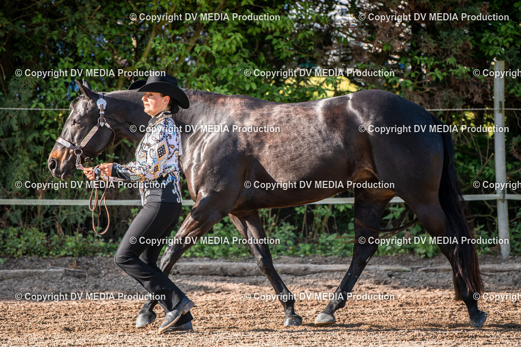 Balingen Tag 4-084 | dv-media-shop - Realisiert mit Pictrs.com