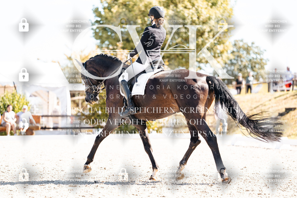 CK909382 | Turnierfotografie Pferdefotografie Trier Rheinland-Pfalz Pferdesport Reitsport Tierfotografie Sportfotografie Pferdevideo Pferdevideografie Equestrianvideography equestrianphotography  - Realisiert mit Pictrs.com
