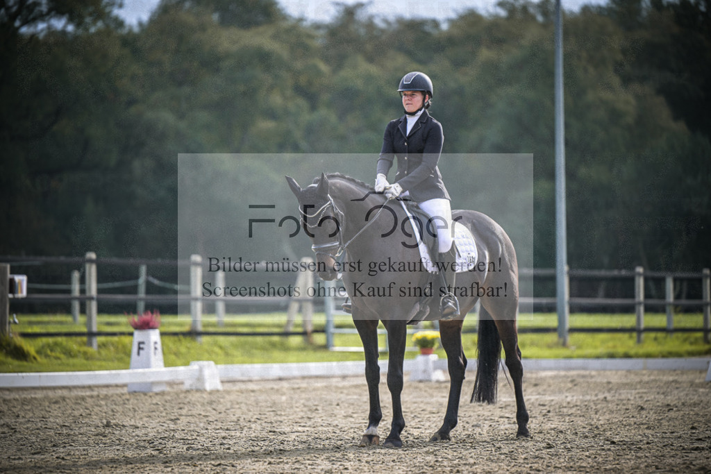DOS_B249 | Entdecke hochwertige Reitturnierfotos von Foto Oger. Professionell, emotional und authentisch – jetzt Lieblingsmomente im Shop bestellen.Deutschlandweite Turnierfotografie. - Realisiert mit Pictrs.com