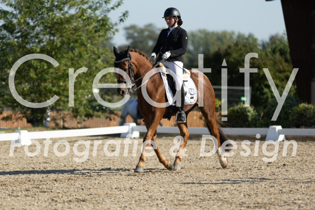 IMG_0710 | Creatify Fotografie