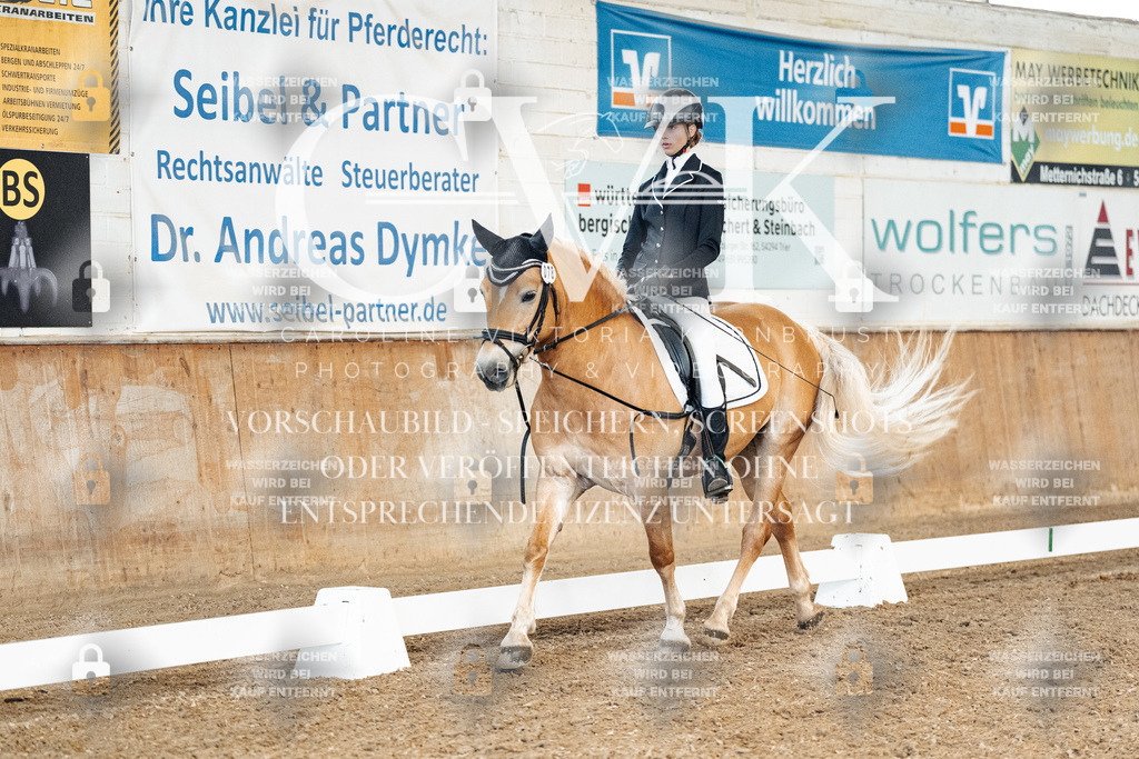 CK900197 | Turnierfotografie Pferdefotografie Trier Rheinland-Pfalz Pferdesport Reitsport Tierfotografie Sportfotografie Pferdevideo Pferdevideografie Equestrianvideography equestrianphotography  - Realized with Pictrs.com