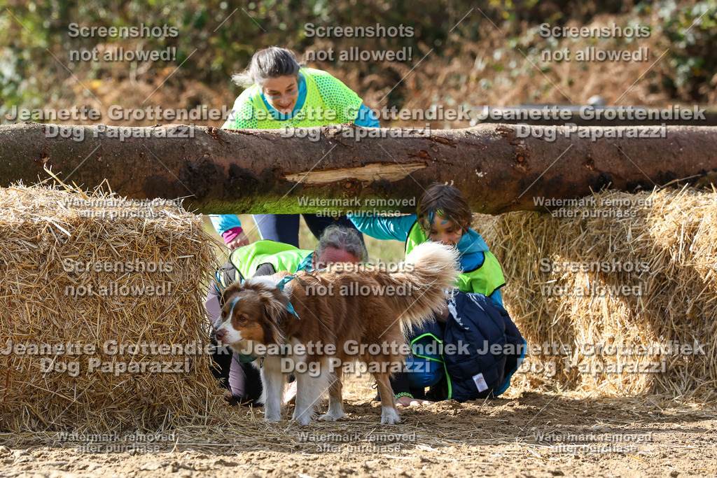 Dog Paparazzi - Strongdog 10-25-5582 | Dog Paparazzi Jeanette Grottendiek Fotografie & Videografie - Realisiert mit Pictrs.com