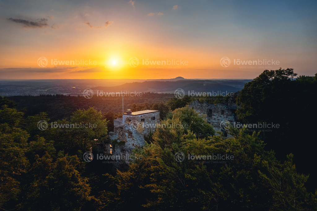 DANIEL-GIMMER-PHOTOGRAPHY_LOEWENBLICKE_0832 | löwenblicke | shop