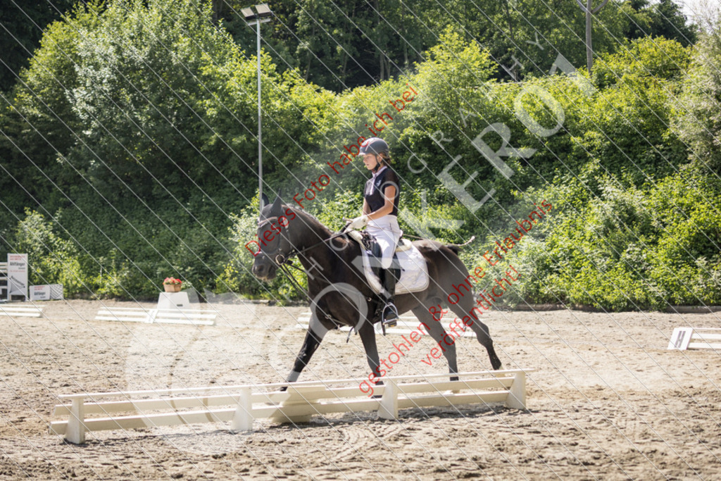 IMG_4542 | Sport-, Event- und Tierfotos in Profiqualität. Einfach auswählen, bestellen und herunterladen. Dein Moment – perfekt festgehalten.