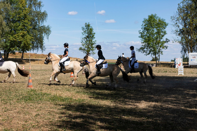 IMG_3394_nachbearbeitet_sepia | normansfotografie - Realisiert mit Pictrs.com