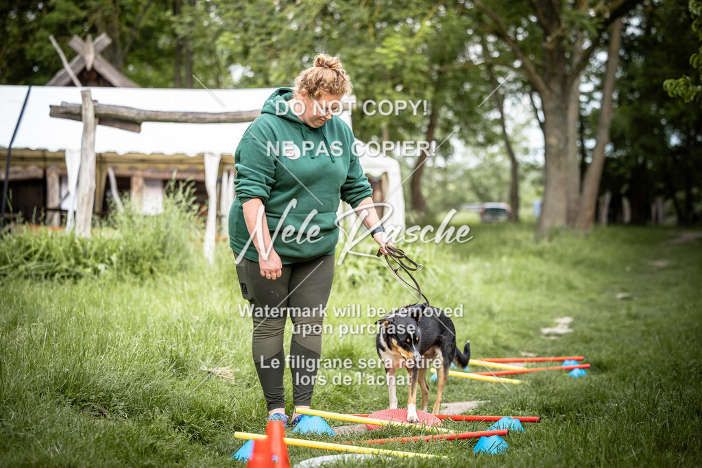nelerasche_So-earlydog_21 | nelerasche