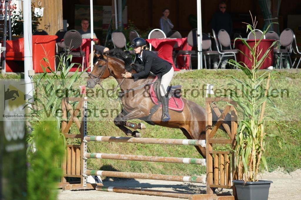 DSC02225 | equestrian-live-com