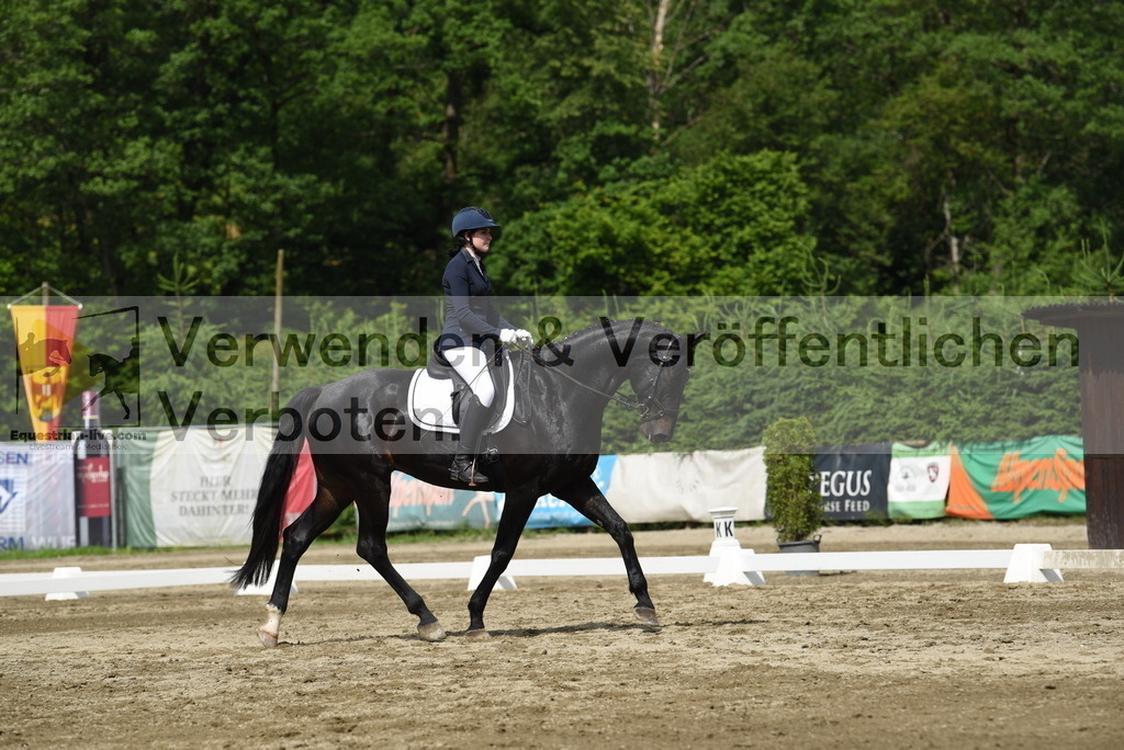 DSC_8406 | equestrian-live-com