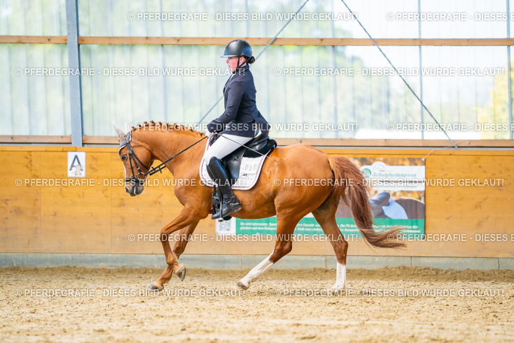 DSC07768 | Pferdegrafie