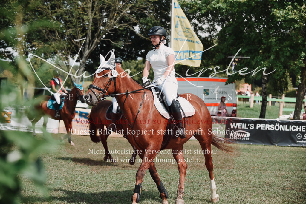 DSC_5747 | Pferde- und Turnierfotografie in Westsachsen. Pferdeportraits, Auftragszeichnungen und intuitive Kunst.