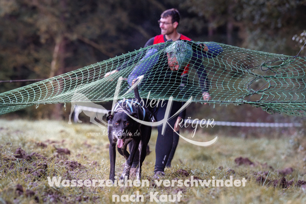 0828_ZZ90398 | kk-dogfotos