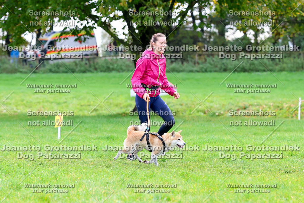 Dog Paparazzi -  SD1026-2198 | Dog Paparazzi Jeanette Grottendiek Fotografie & Videografie - Realisiert mit Pictrs.com