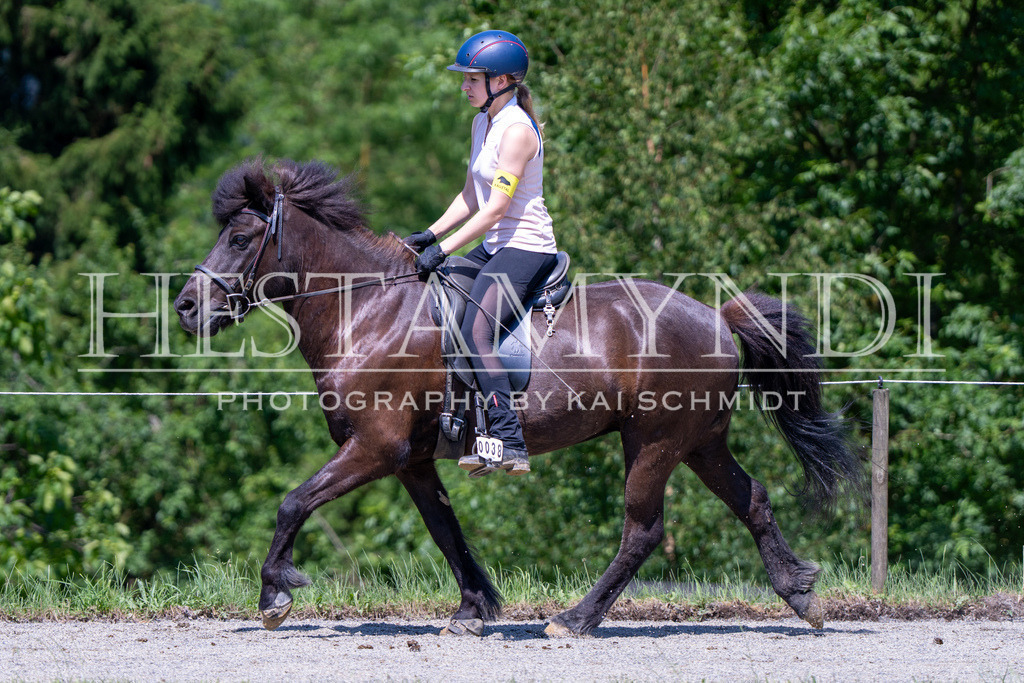 KAI04496 | Ihr sucht einen Fotografen für eure nächste OSI? Ich begleite auch euer Turnier für Islandpferde fotografisch.  - Realisiert mit Pictrs.com