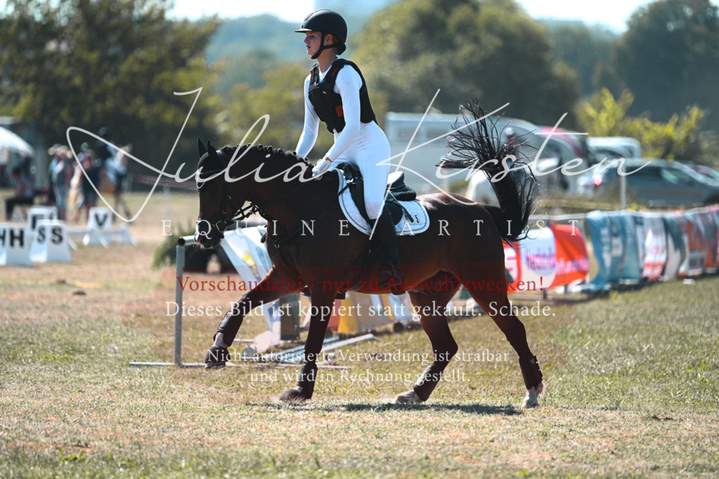 DSC_8277 | Pferde- und Turnierfotografie in Westsachsen. Pferdeportraits, Auftragszeichnungen und intuitive Kunst.