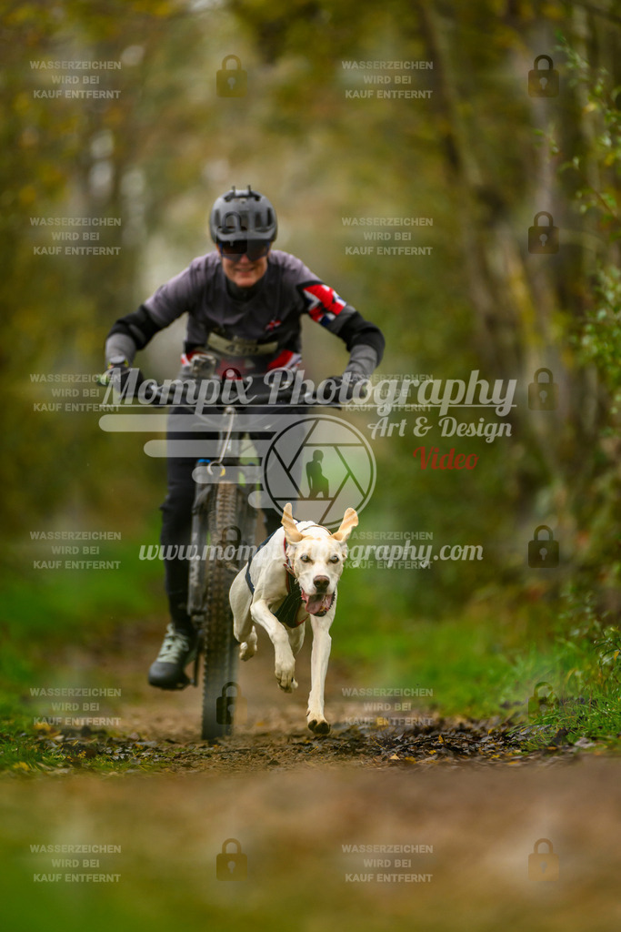 MompixPhotography_20TSB_E6_Bike-128 | PayLife