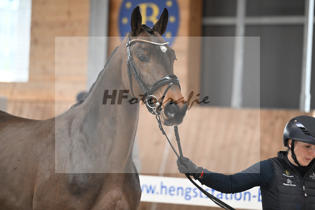 Kat-Nr. 1 Cellestina v Cellestial_Steidl_14260510 | hf-fotografie - Realisiert mit Pictrs.com