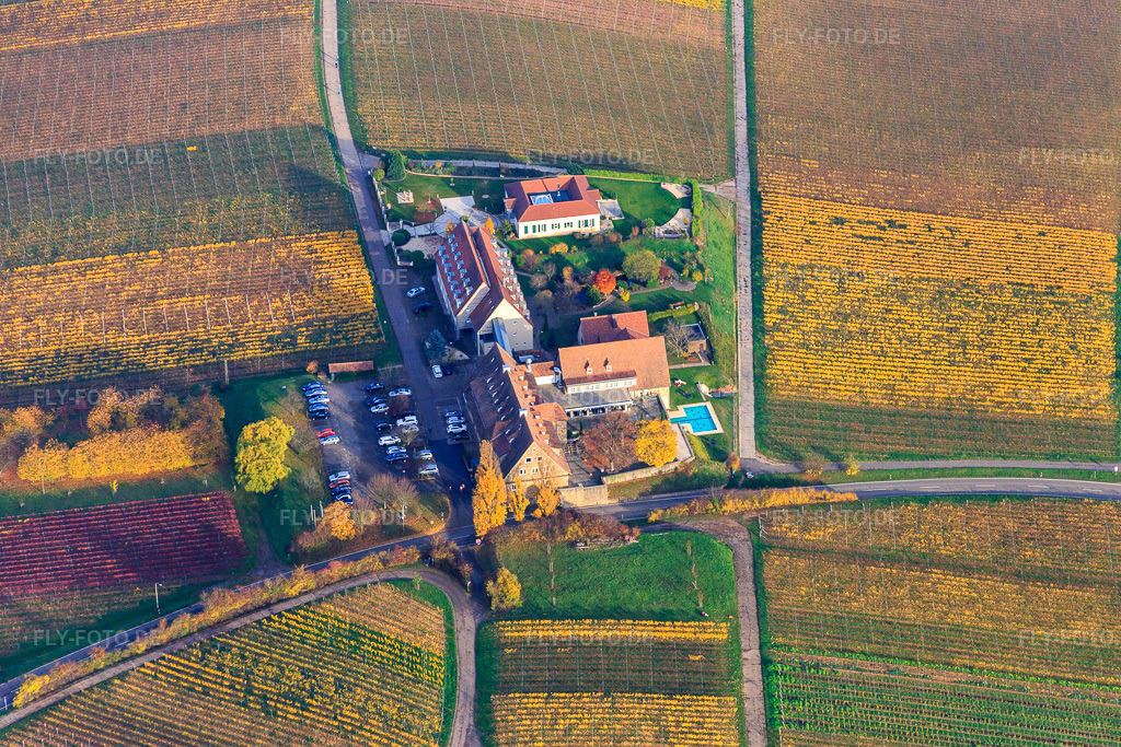 Luftbild: Hotel Leinsweiler im Herbstlaub Hof in Leinsweiler im Bundesland Rheinland-Pfalz in Deutschland. Foto: IMG_085167.jpg vom 08.11.2015 durch Werner Riehm/FLY-FOTO.deUnvergessliche Momente im Urlaub - Leinsweiler Hof
