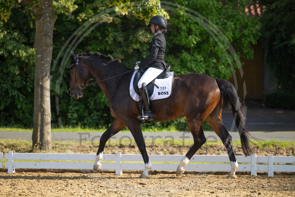 994A3375 | sabrinanicolaifotografie - Realisiert mit Pictrs.com