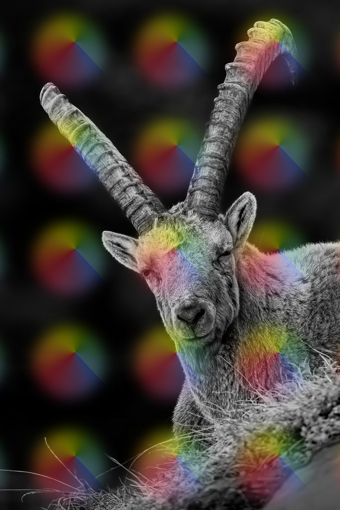 1M5A7419 | FineArtPrint, Hahnemühle, FeeGalerie, Fee Galerie, Fotokunst, Fotografie, Canonphotography, Bergfoto, Matterhorn, Rimpfischhorn, Allalinhorn, Saas-Fee, Wallis, Valais, Switzerland, Bergfotografie