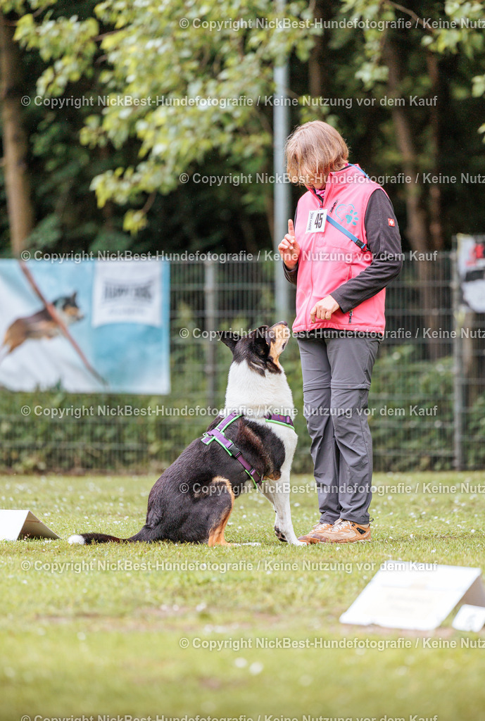 RO-Blumenthal-2026-Nickbest-Hundefotografie-0410 | Dein Hund! Dein Moment! Deine Erinnerungen! Hundefotografie in Bremen Blumenthal. Ich fange die besonderen Momente deines Vierbeiners ein – ob Indoor mit Blitzanlage oder in der freien Natur. Sicher dir dein Moment und dein Termin für eure Erinnerungen.