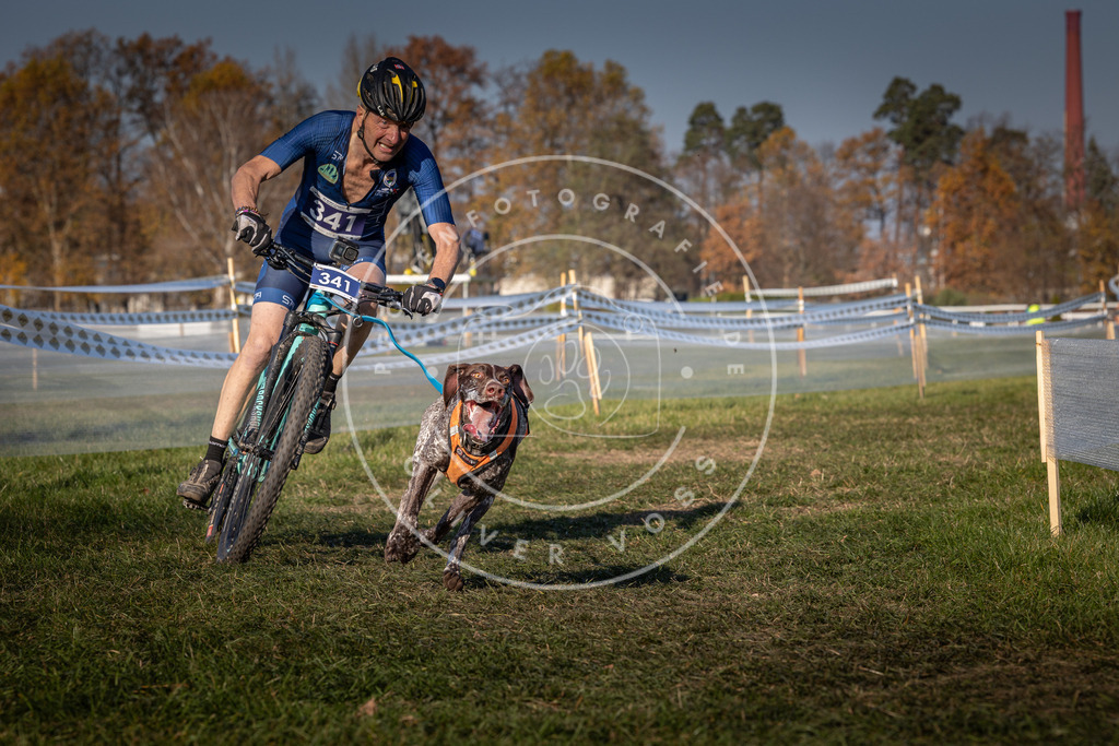 CaniXpix_0L8A6452 | Hundefotografie, Tierfotograf, Pfotenfotografie, Fotoshooting Hund, Hunde Portrait, Hundesport, Hundeportraits, Heideshooting, Hunde, Sportfotograf, Hundefotograf, Turnierhundsport, THS,  - Realisiert mit Pictrs.com
