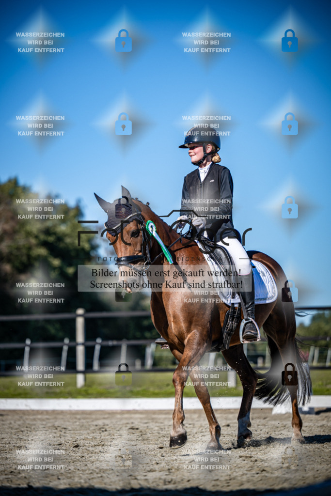 2026-09-Lohne-11-0046 | Entdecke hochwertige Reitturnierfotos von Foto Oger. Professionell, emotional und authentisch – jetzt Lieblingsmomente im Shop bestellen.Deutschlandweite Turnierfotografie. - Realisiert mit Pictrs.com