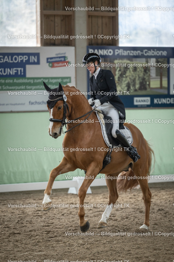 _D5A5088 | Emotionale Pferde- & People-Fotografie rund um Heidelberg, Leimen & Umgebung. Natürliche Fotos von Pferd, Mensch & Familie. Jetzt Termin sichern!