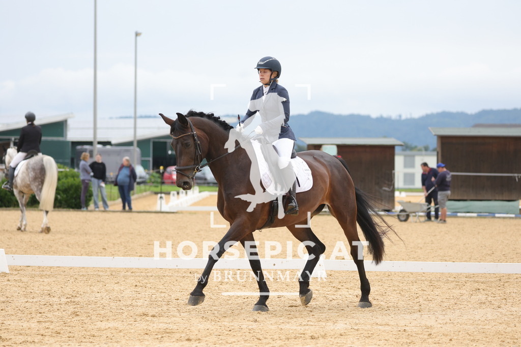 0P6A8541 | Willkommen bei Brunnmayr - Design & Fotografie – Ihrem Spezialisten für Reitturniere und Pferdeveranstaltungen in Oberösterreich, Salzburg und Bayern! Seit über 17 Jahren sind wir leidenschaftlich dabei.