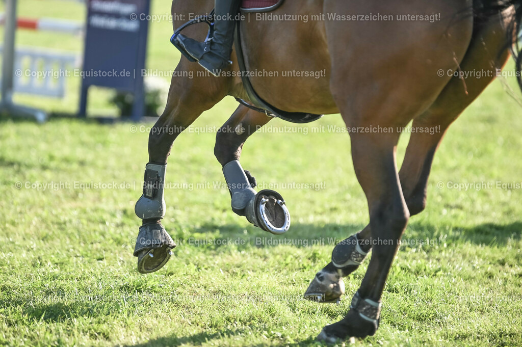 20230909_20_Leonberger-Derby_0025 | Foto: Thomas Hartig