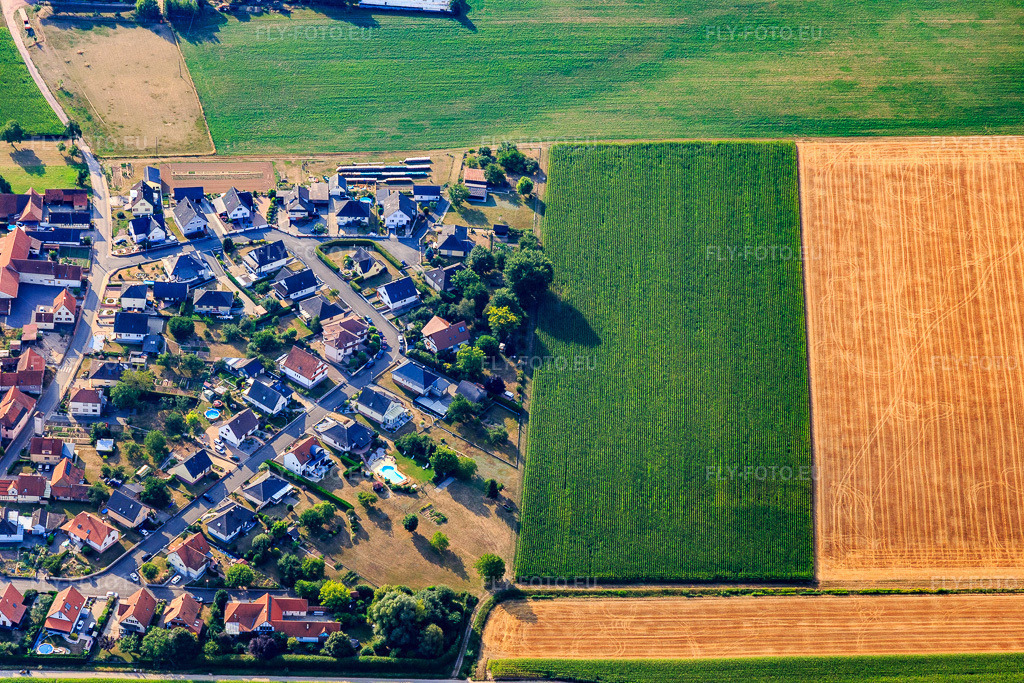 Vue aérienne: Rue des Violettes à Schleithal dans le département Bas Rhin, France – .Photo: IMG_121927.jpg prise le 01/08/2020 par Werner Riehm/FLY-FOTO.eu – Résolution de l'original: 5472 x 3648 px
