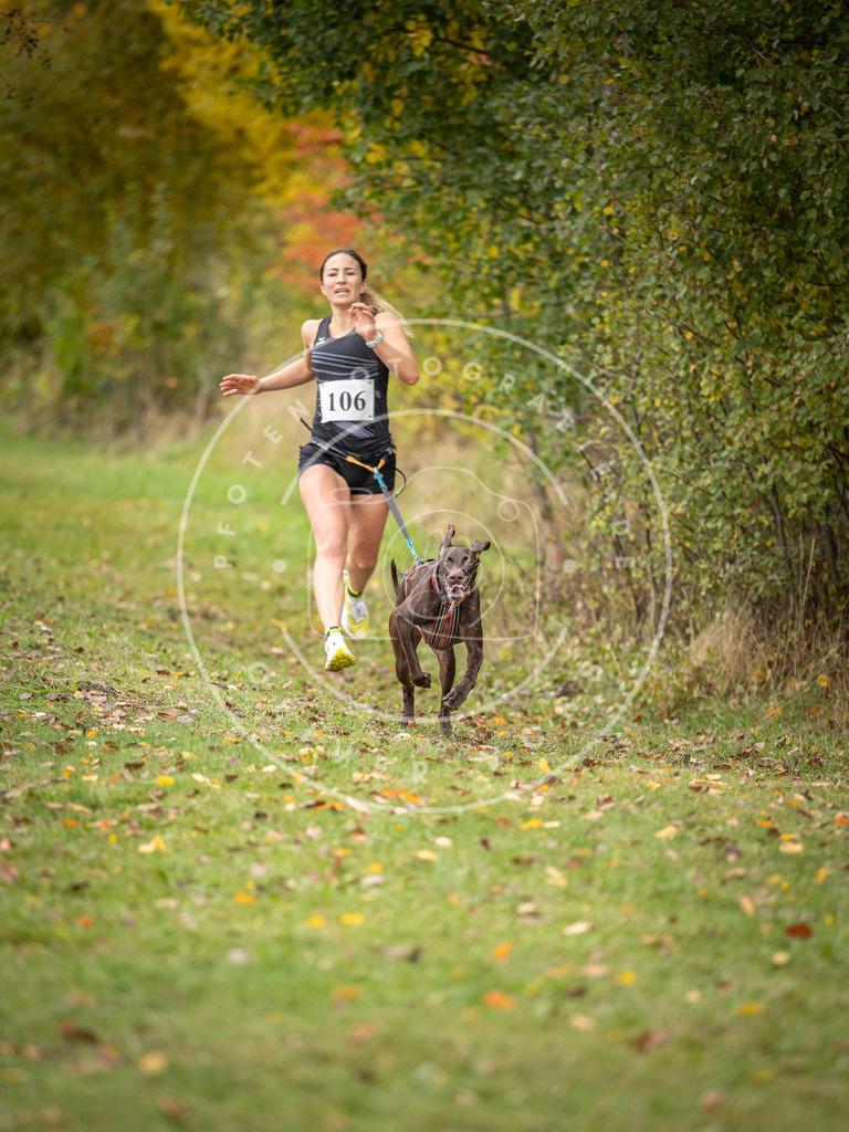 Pfotenfotografie_DV3A2379 | Hundefotografie, Tierfotograf, Pfotenfotografie, Fotoshooting Hund, Hunde Portrait, Hundesport, Hundeportraits, Heideshooting, Hunde, Sportfotograf, Hundefotograf, Turnierhundsport, THS,  - Realisiert mit Pictrs.com