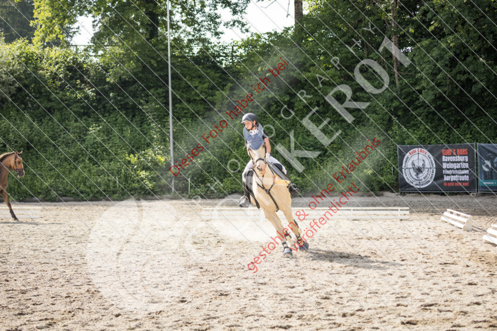 IMG_6106 | Sport-, Event- und Tierfotos in Profiqualität. Einfach auswählen, bestellen und herunterladen. Dein Moment – perfekt festgehalten.