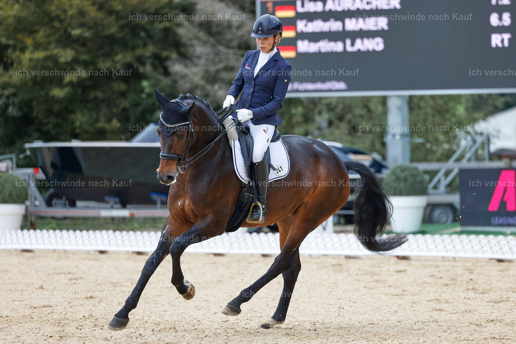 3-241-Dressur M_-StoibPH-2340 | working equitationturnier fotograf videograf stoibphotography marixx film working equitation deutschland reitsport turnierfotografie eventfotografie equestrian events