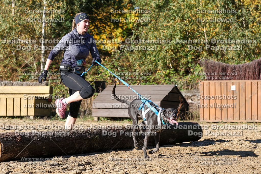 Dog Paparazzi - Strongdog 10-25-2014 | Dog Paparazzi Jeanette Grottendiek Fotografie & Videografie - Realisiert mit Pictrs.com