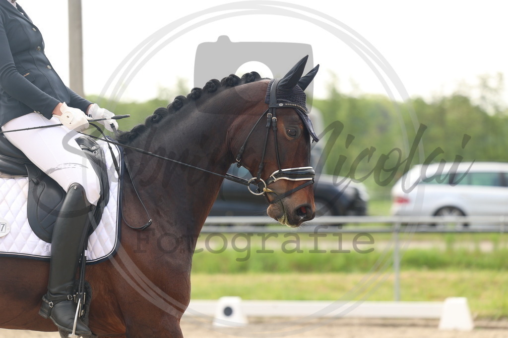 994A6309 | sabrinanicolaifotografie - Realisiert mit Pictrs.com