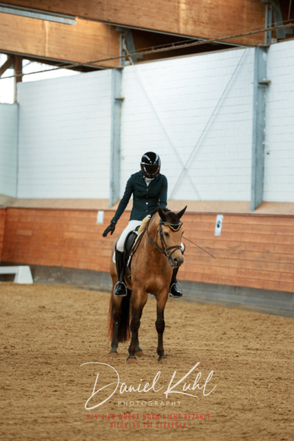 _62_5556 | Turniersportfotografie; Pferdefotografie; Dressurfotografie