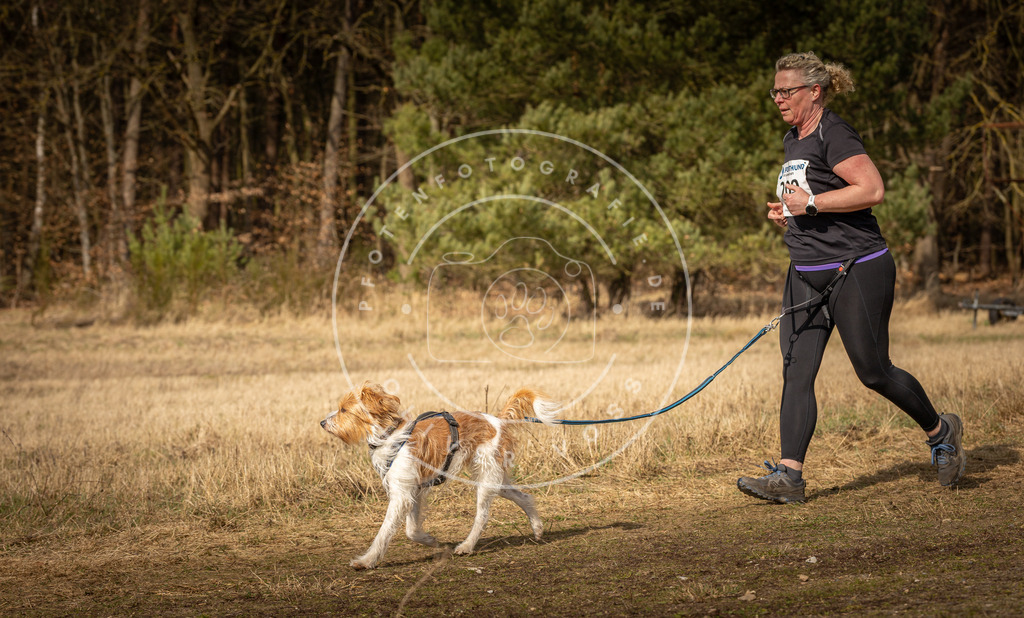 DV3A5562 | Hundefotografie, Tierfotograf, Pfotenfotografie, Fotoshooting Hund, Hunde Portrait, Hundesport, Hundeportraits, Heideshooting, Hunde, Sportfotograf, Hundefotograf, Turnierhundsport, THS,  - Realisiert mit Pictrs.com