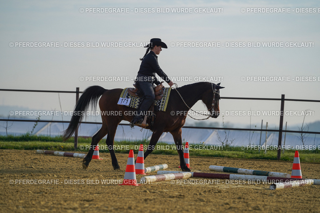 DSC00435 | Pferdegrafie