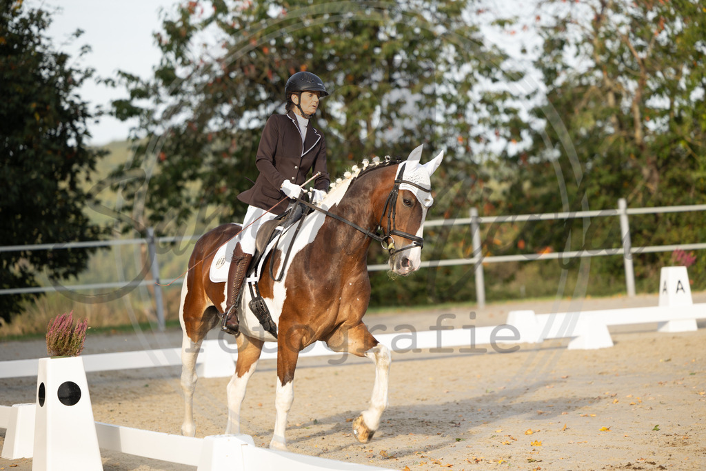 994A0581 | sabrinanicolaifotografie - Realisiert mit Pictrs.com