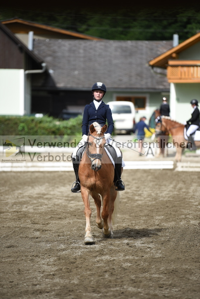 DSC_4971 | equestrian-live-com