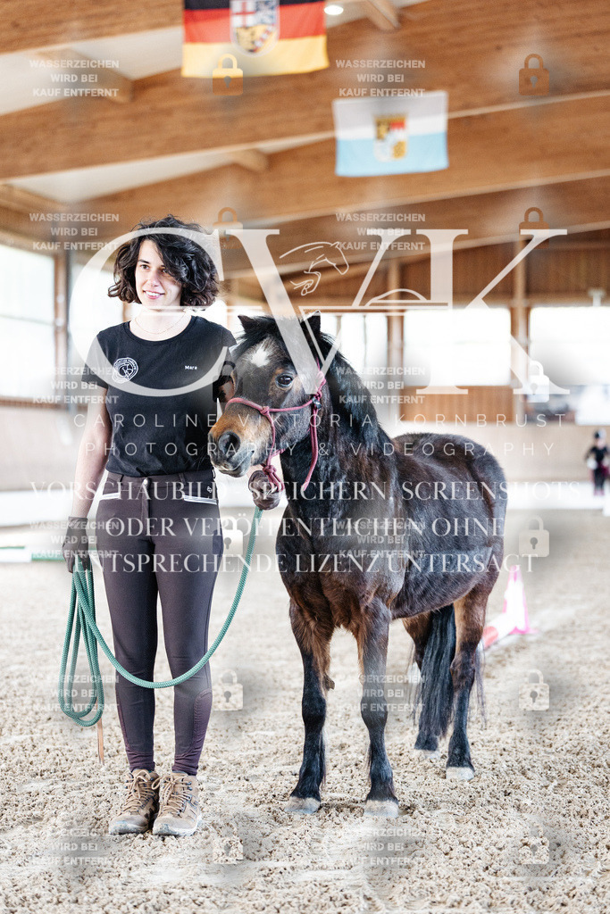 CK905152 | Turnierfotografie Pferdefotografie Trier Rheinland-Pfalz Pferdesport Reitsport Tierfotografie Sportfotografie Pferdevideo Pferdevideografie Equestrianvideography equestrianphotography  - Realisiert mit Pictrs.com