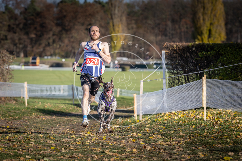 CaniXpix_DV3A0082 | Hundefotografie, Tierfotograf, Pfotenfotografie, Fotoshooting Hund, Hunde Portrait, Hundesport, Hundeportraits, Heideshooting, Hunde, Sportfotograf, Hundefotograf, Turnierhundsport, THS,  - Realisiert mit Pictrs.com