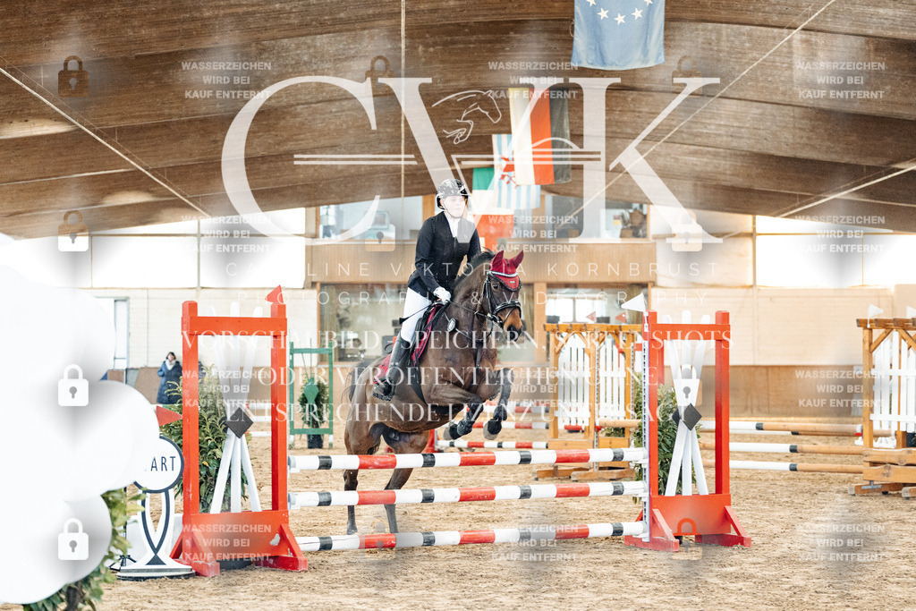 CK903759 | Turnierfotografie Pferdefotografie Trier Rheinland-Pfalz Pferdesport Reitsport Tierfotografie Sportfotografie Pferdevideo Pferdevideografie Equestrianvideography equestrianphotography  - Realized with Pictrs.com