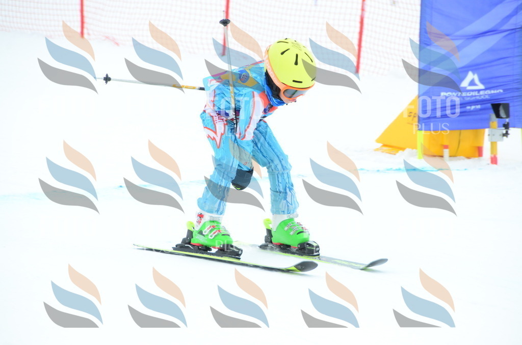 DSC_1974 | holidayphoto