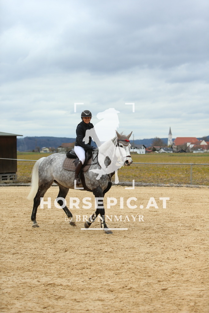 DL2Q2564 | Willkommen bei Brunnmayr - Design & Fotografie – Ihrem Spezialisten für Reitturniere und Pferdeveranstaltungen in Oberösterreich, Salzburg und Bayern! Seit über 17 Jahren sind wir leidenschaftlich dabei.