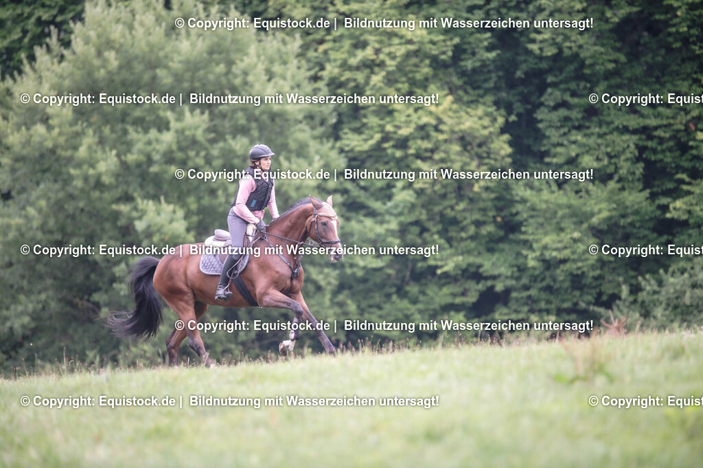 20250726_Vielseitigkeitslehrgang-Marbach_0271 | Foto: Thomas Hartig