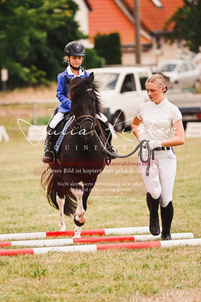 DSC_6463 | Pferde- und Turnierfotografie in Westsachsen. Pferdeportraits, Auftragszeichnungen und intuitive Kunst.
