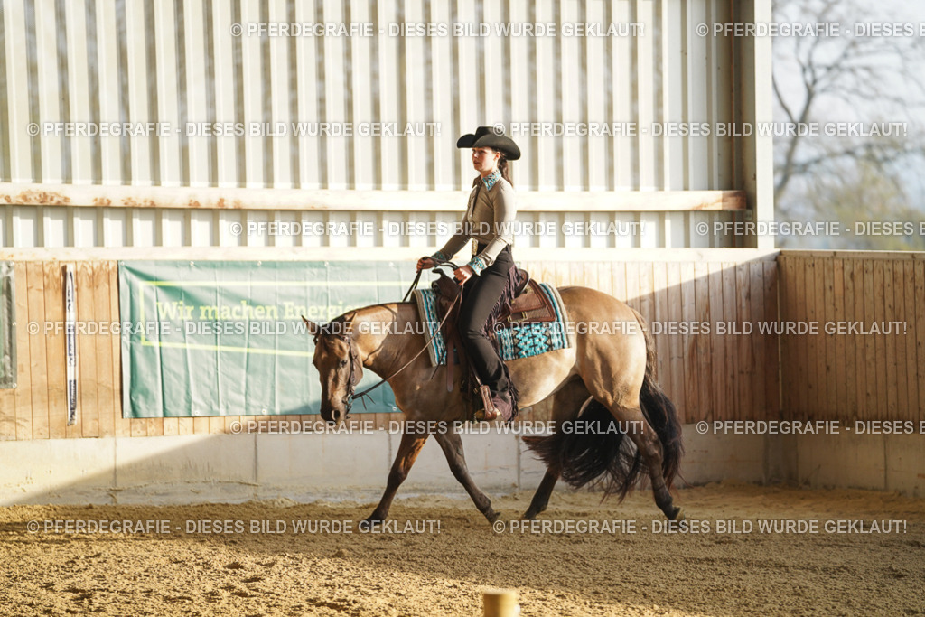 DSC07587 | Pferdegrafie